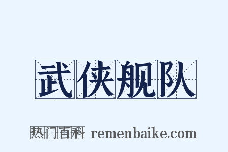 武侠舰队是什么意思的图片